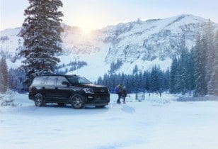 2021 Ford Expedition STX